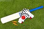 Indian Premier League 2025